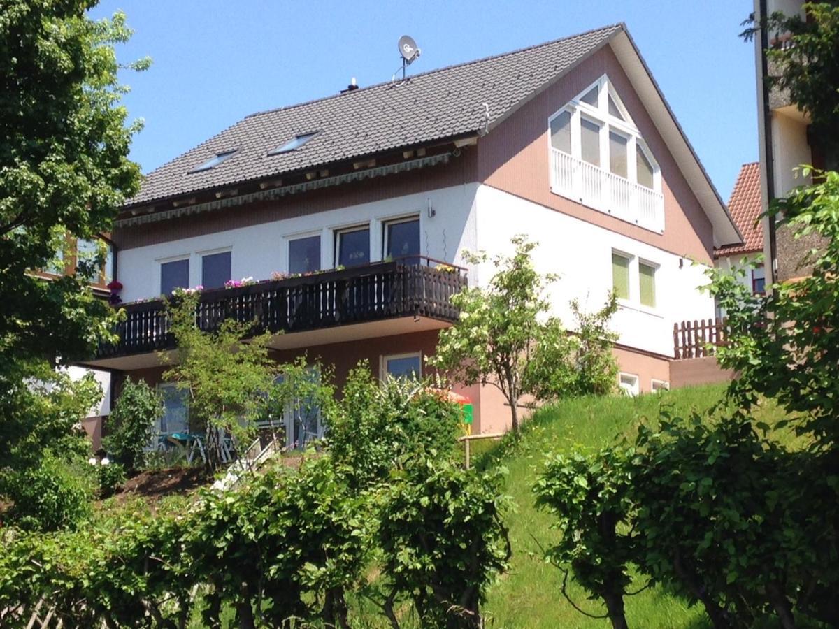 Haus Talblick Apartment Freudenstadt Ngoại thất bức ảnh